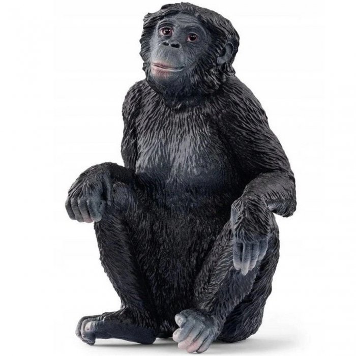 Schleich Bonobo